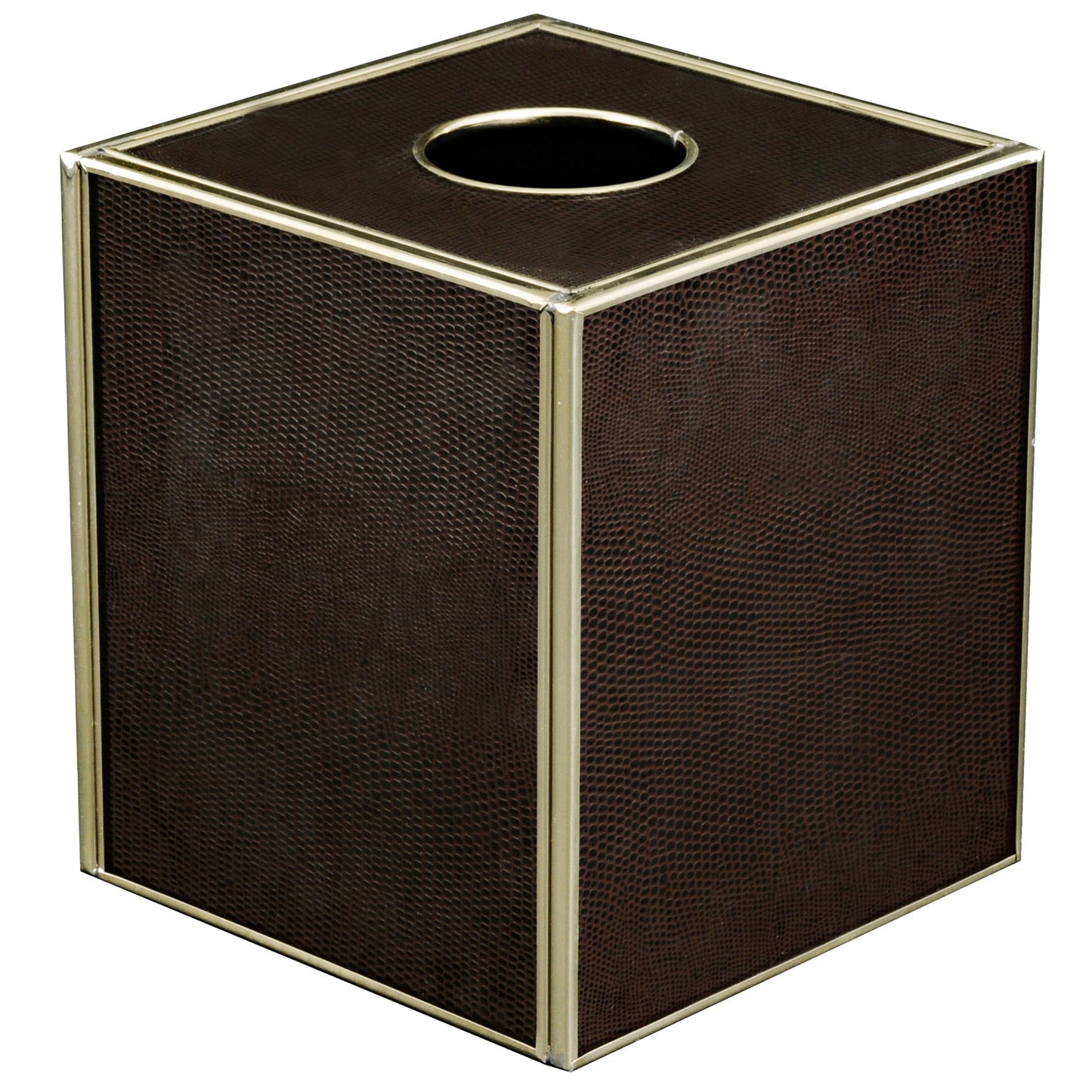 Brown Lizard Tissue Box